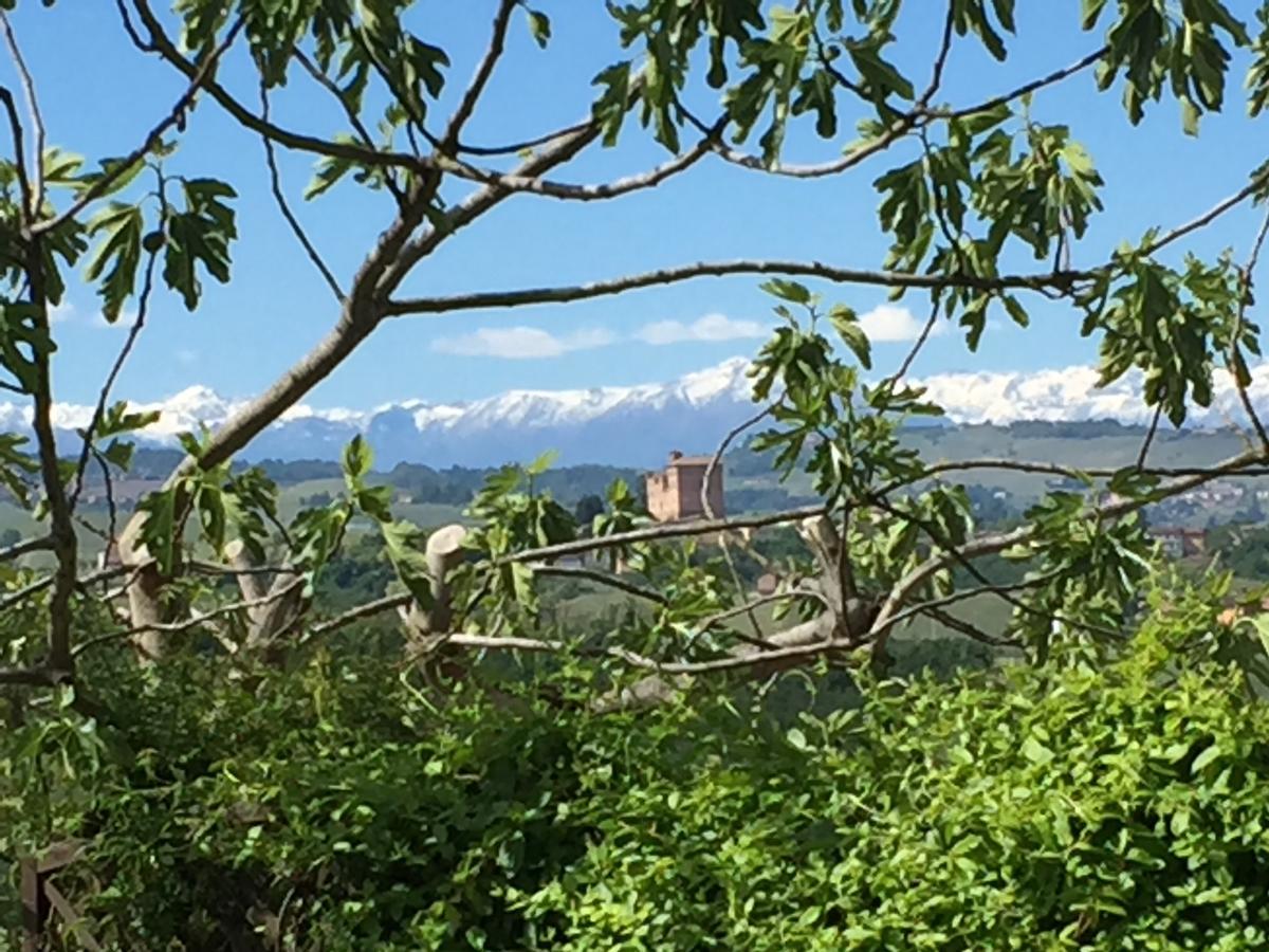 Cascina Baresane Bed & Breakfast Алба Екстериор снимка