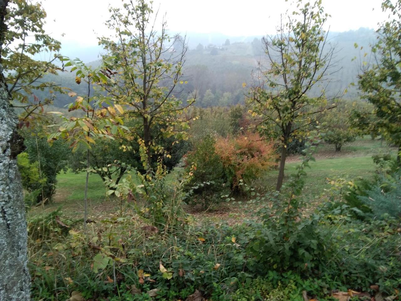 Cascina Baresane Bed & Breakfast Алба Екстериор снимка